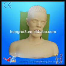 HOT SALES adult airway endotrachea intubation model